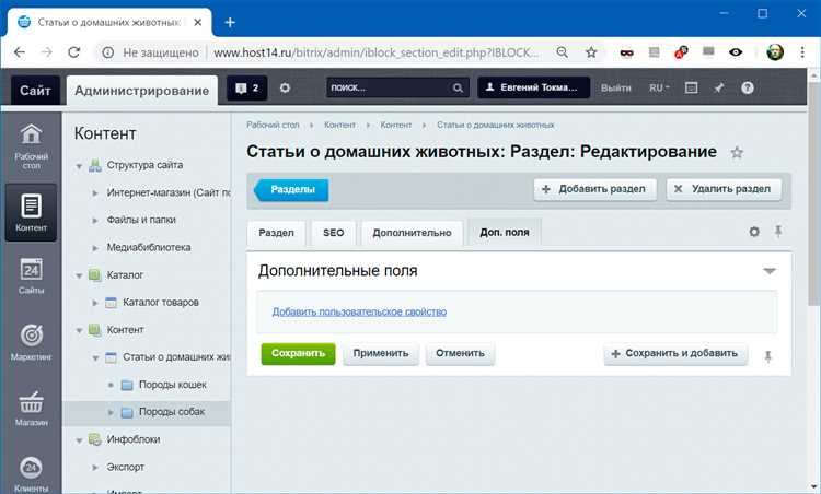  Мультиязычность 